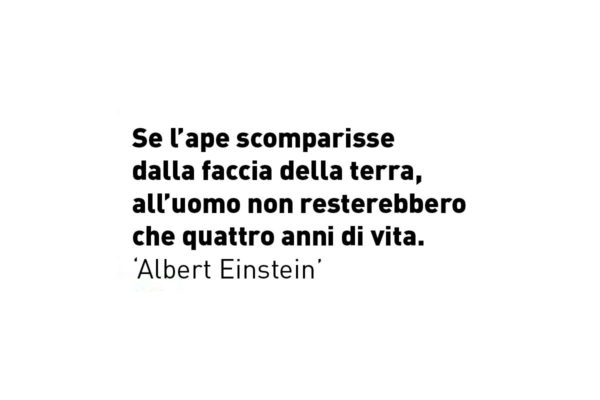 citazione_ape