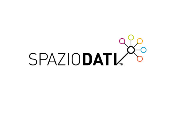 presentazione_brand_identity_spaziodati10